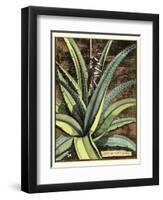 Graphic Aloe III-Vision Studio-Framed Art Print