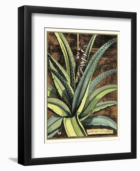 Graphic Aloe III-Vision Studio-Framed Art Print