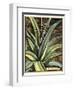 Graphic Aloe III-Vision Studio-Framed Art Print