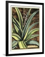 Graphic Aloe III-Vision Studio-Framed Art Print