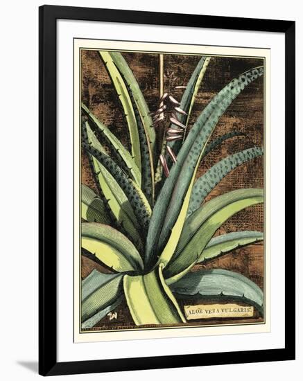 Graphic Aloe III-Vision Studio-Framed Art Print