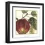 Graphic Apple-Vision Studio-Framed Art Print