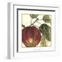 Graphic Apple-Vision Studio-Framed Art Print