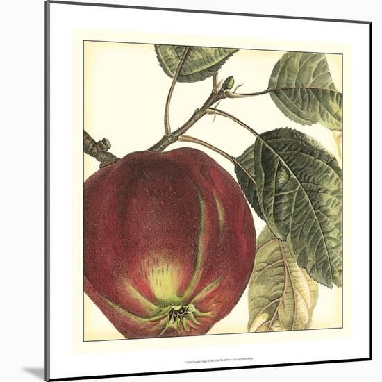 Graphic Apple-Vision Studio-Mounted Art Print