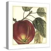 Graphic Apple-Vision Studio-Stretched Canvas