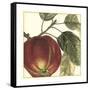 Graphic Apple-Vision Studio-Framed Stretched Canvas
