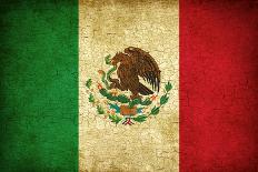 Grunge Mexican Flag-Graphic Design Resources-Mounted Art Print