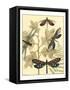 Graphic Dragonflies in Nature I-Megan Meagher-Framed Stretched Canvas