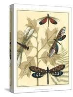 Graphic Dragonflies in Nature I-Megan Meagher-Stretched Canvas
