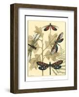 Graphic Dragonflies in Nature I-Megan Meagher-Framed Art Print