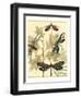 Graphic Dragonflies in Nature I-Megan Meagher-Framed Art Print