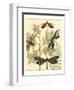 Graphic Dragonflies in Nature I-Megan Meagher-Framed Art Print
