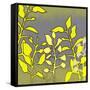 Graphic Floral Four-Jan Weiss-Framed Stretched Canvas