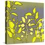 Graphic Floral Four-Jan Weiss-Stretched Canvas