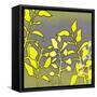 Graphic Floral Four-Jan Weiss-Framed Stretched Canvas