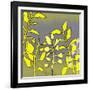 Graphic Floral Four-Jan Weiss-Framed Art Print