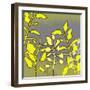 Graphic Floral Four-Jan Weiss-Framed Art Print