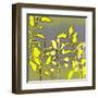 Graphic Floral Four-Jan Weiss-Framed Art Print