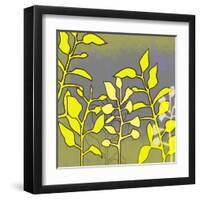 Graphic Floral Four-Jan Weiss-Framed Art Print