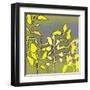 Graphic Floral Four-Jan Weiss-Framed Art Print