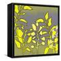 Graphic Floral Four-Jan Weiss-Framed Stretched Canvas