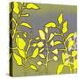 Graphic Floral Four-Jan Weiss-Stretched Canvas