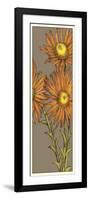 Graphic Flower Panel I-Jennifer Goldberger-Framed Art Print