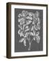 Graphic Foliage I-Vision Studio-Framed Art Print