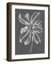 Graphic Foliage II-Vision Studio-Framed Art Print