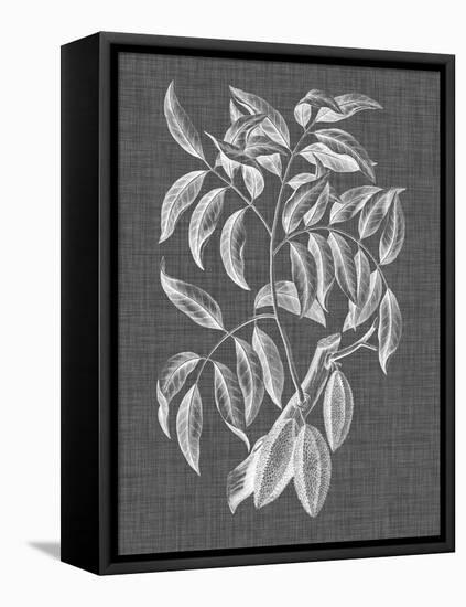 Graphic Foliage III-Vision Studio-Framed Stretched Canvas