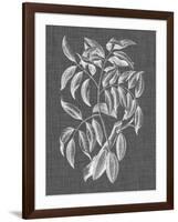 Graphic Foliage III-Vision Studio-Framed Art Print