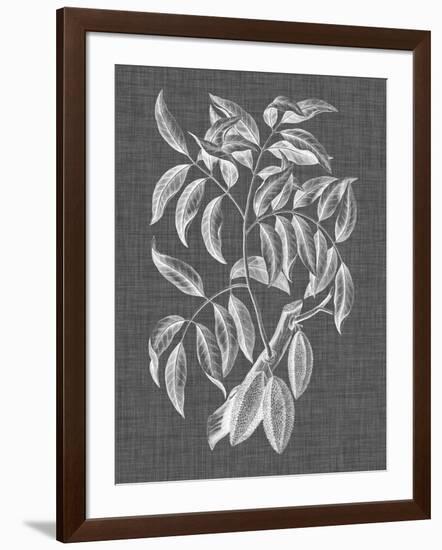 Graphic Foliage III-Vision Studio-Framed Art Print