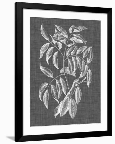 Graphic Foliage III-Vision Studio-Framed Art Print