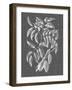 Graphic Foliage III-Vision Studio-Framed Art Print