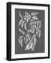 Graphic Foliage III-Vision Studio-Framed Art Print