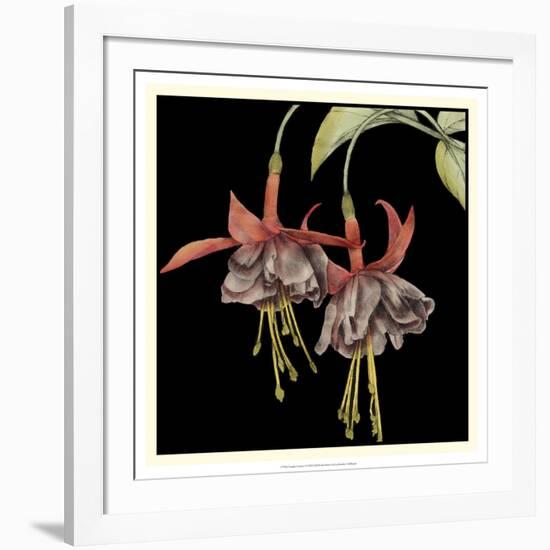 Graphic Fuchsia I-Jennifer Goldberger-Framed Art Print