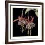 Graphic Fuchsia I-Jennifer Goldberger-Framed Art Print