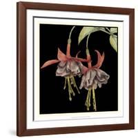 Graphic Fuchsia I-Jennifer Goldberger-Framed Art Print