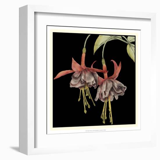 Graphic Fuchsia I-Jennifer Goldberger-Framed Art Print