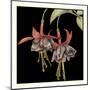 Graphic Fuchsia I-Jennifer Goldberger-Mounted Art Print