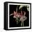 Graphic Fuchsia I-Jennifer Goldberger-Framed Stretched Canvas