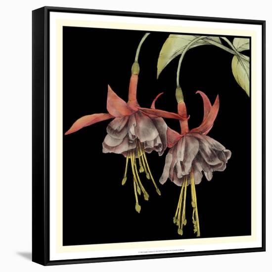 Graphic Fuchsia I-Jennifer Goldberger-Framed Stretched Canvas