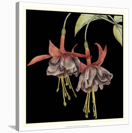 Graphic Fuchsia I-Jennifer Goldberger-Stretched Canvas