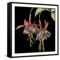 Graphic Fuchsia I-Jennifer Goldberger-Framed Stretched Canvas