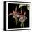 Graphic Fuchsia I-Jennifer Goldberger-Framed Stretched Canvas
