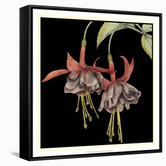 Graphic Fuchsia I-Jennifer Goldberger-Framed Stretched Canvas