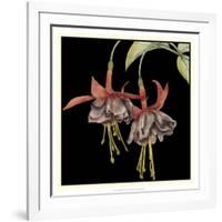 Graphic Fuchsia I-Jennifer Goldberger-Framed Art Print