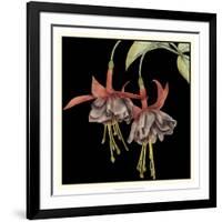 Graphic Fuchsia I-Jennifer Goldberger-Framed Art Print