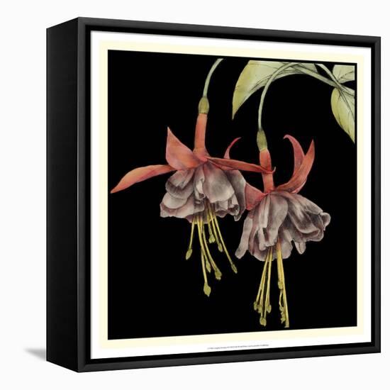 Graphic Fuchsia I-Jennifer Goldberger-Framed Stretched Canvas