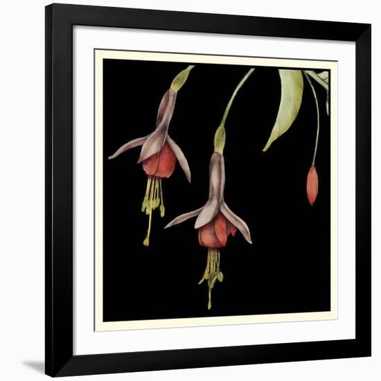 Graphic Fuchsia III-Jennifer Goldberger-Framed Art Print